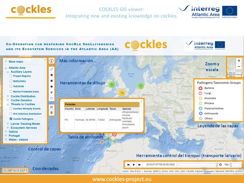 FundacionCETMAR's tweet image. ¿Te interesa la producción del #berberecho en el #ÁreaAtlántica? Nuestras compañeras en @COCKLES_project han recopilado una gran cantidad de información sobre este recurso en un nuevo visor web @AtlanticArea #Interreg cetmar.org/informacion-es…
