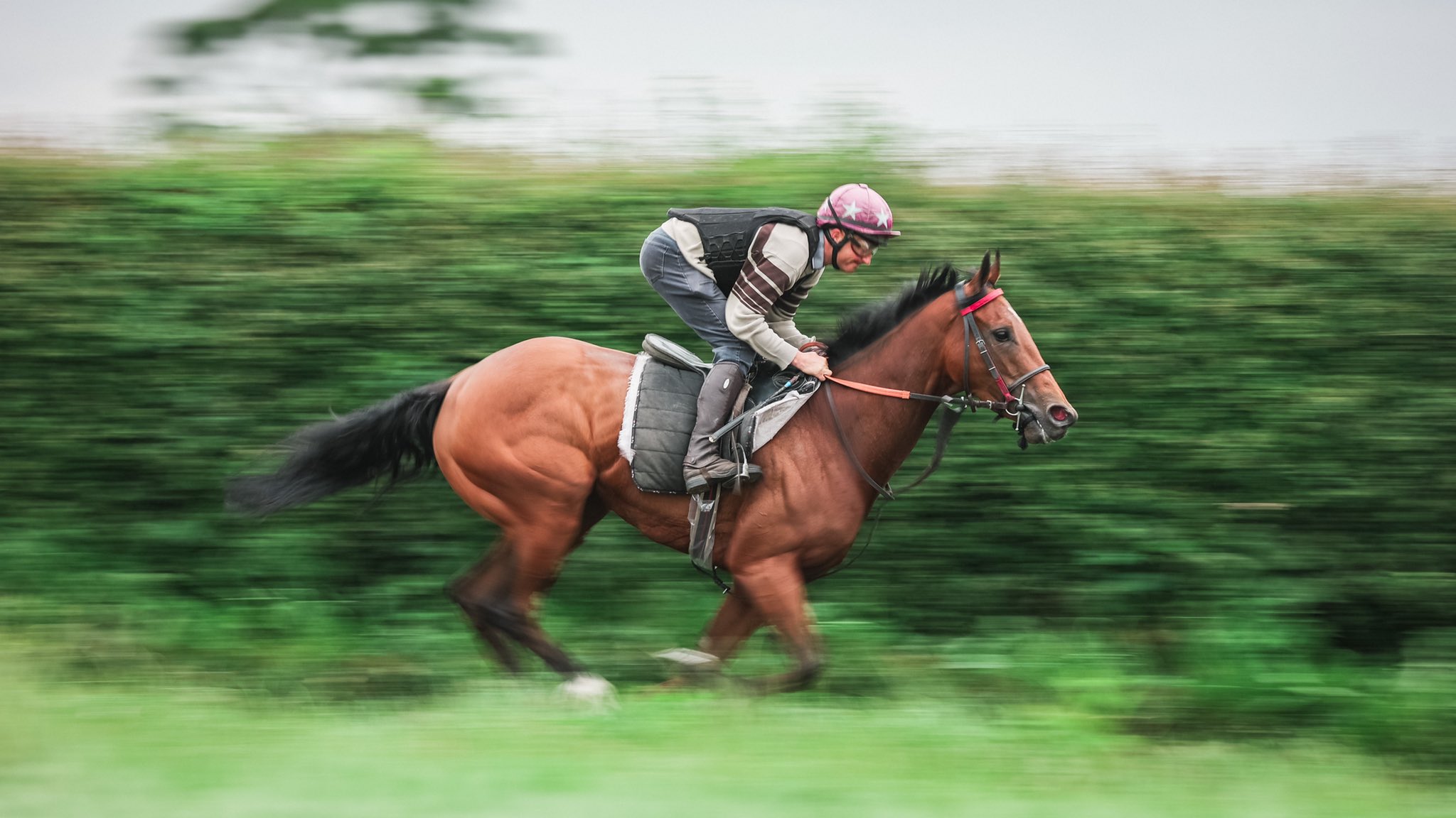 Tim Easterby Racing on Twitter: