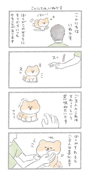 「こんにちは、いぬです」
#こんにちはいぬです 