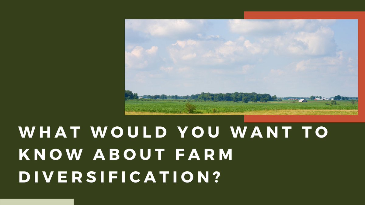 Kim_Rural's tweet photo. Calling all farmers - if you're planning on diversifying, what would you want to know?  
In two weeks I'm speaking at the Cereals Event, covering farm diversification &amp; pop up campsites. What should I cover and what do you already know? Options, funding, marketing, operations? https://t.co/7HKB12mxIh