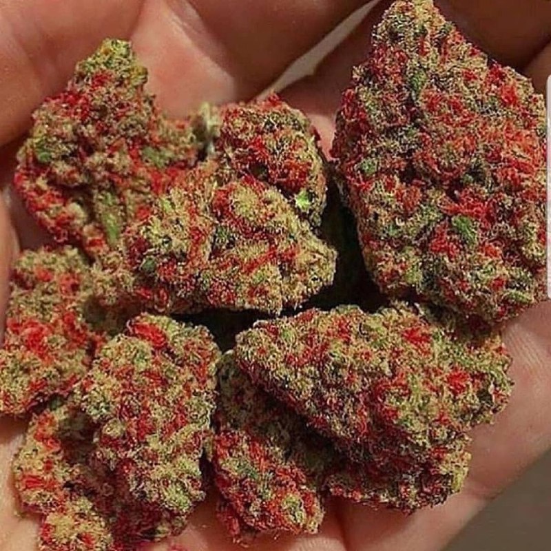 Rokie52083134's tweet photo. disponible chez nous contacter via

📳Snapchat  frackyweed
#psg #paris  #saintdenis #Python #Java #JavaScript #ReactJS #Serverless #IoT #Linux #100DaysofCode #PSG #france  #Toulouse #Montpellier #LOSC #Lyon #rastabot #pau #Grenobl https://t.co/vY7zO1caua