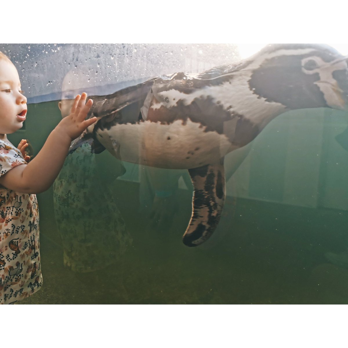 LozzaKayy's tweet image. 🥰