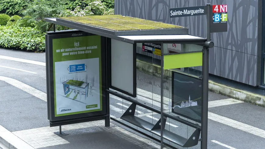 ici_alsace's tweet photo. A Strasbourg, @JCDecaux_France teste des abris-bus dépolluants
https://t.co/oCk8qHBTt8
#MaSolution https://t.co/QfkHIiGQ90