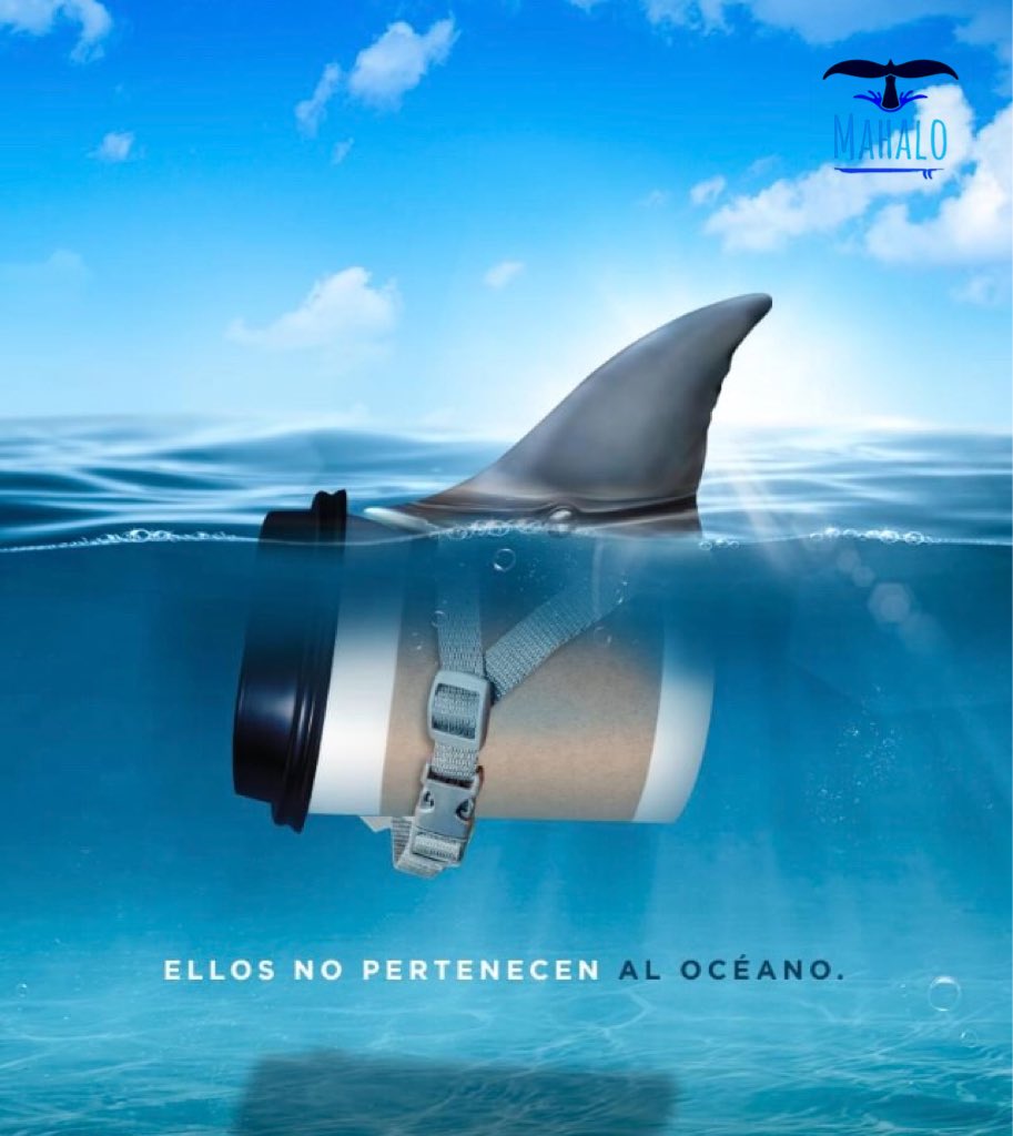 Mahalo71496954's tweet photo. Porque no es sólo un trozo de plástico. ES UN ARMA QUE MATA EN SILENCIO.
¡El reto sigue! 💪🌎
#Recicla
#Reduce
#Reutiliza
#worldsurf #mahalo #oceano #life #surf #respect #playa #oceanoslimpios #juntospodemoslograrlo #noplactic #planeta #salvamentomaritimo #mar #water #blue https://t.co/eKgIAgbxLJ