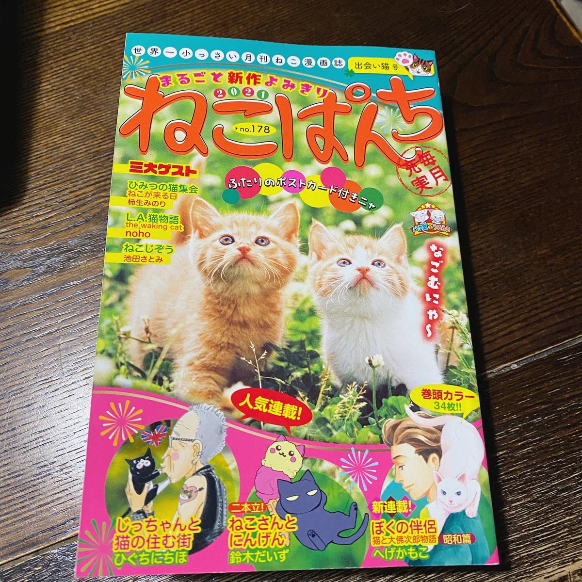 ねこぱんち7月号、本日発売です。
今回の じっちゃんと猫の住む街はチビッ子多喜ちゃん…がモデルのサルちゃん出てきます(なぜサルと名付けたのか謎)
よろしくお願いいたします! 