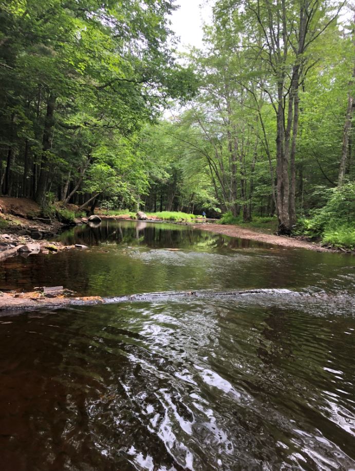 infomorning's tweet photo. Site photos as the Fales River where ATVs access the river and the trail has been cut. This trail is not condoned by the landowner. Photos by Rachel Walsh. https://t.co/oOLhcJDuu4