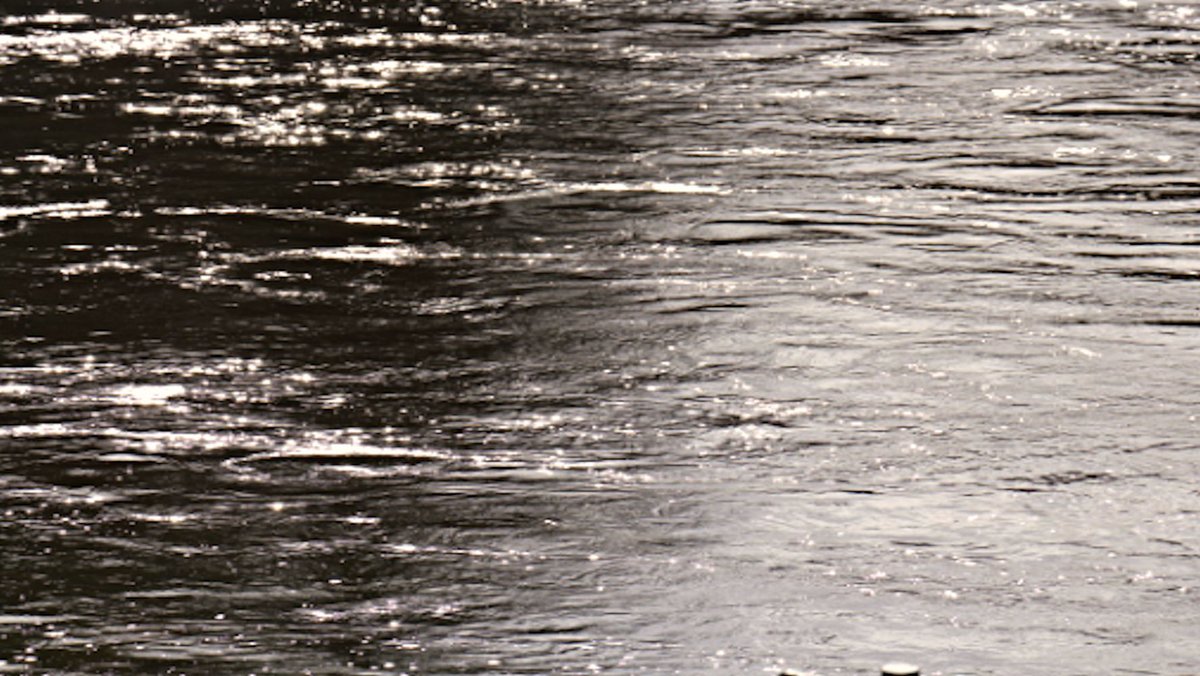 .<a href="/alicertchie/">Alice Ritchie</a> spoke this morning with <a href="/seandunderdale/">Sean Dunderdale</a> <a href="/BBCRadioLincs/">BBC Lincolnshire</a> about the upcoming <a href="/CLAtweets/">Country Land & Business Assn</a> water strategy. Our webinar this week - A vision for water to 2030 - will provide further details:
members.cla.org.uk/MY-CLA/Events/…