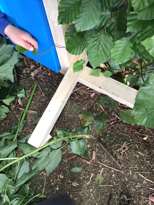 Image from Year 1 High Bank (@HighBankJIN_Y1)