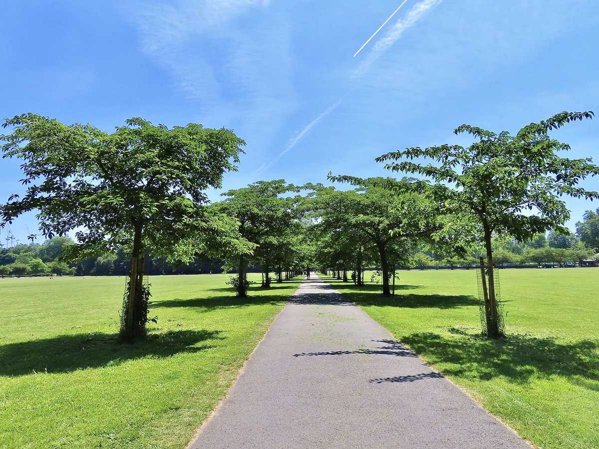 NickDunbar77's tweet photo. Scorching hot here today in Chelsea London and some lovely scenery 😊 @SallyWeather @ChrisPage90 @itvweather @ThePhotoHour #visitlondon @metoffice #loveukweather #chelseaembankment https://t.co/oDsySrpaGy