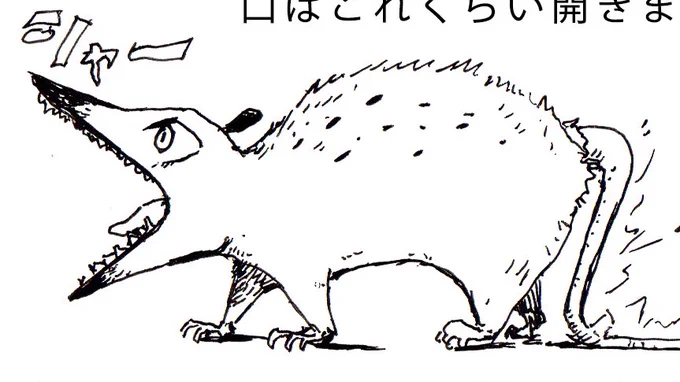 サリーだ。 