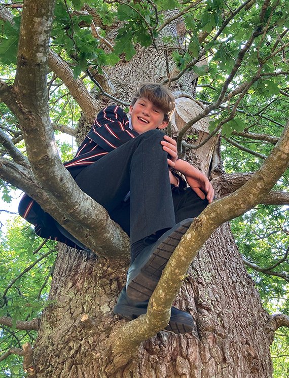 Where else would you spend a sunny break than up a tree in the shade. #summerdays #onechildhood #prepschoollife #climbingtrees #breaktime #happymemories #childhoodmemories #summerterm #IAmCCS