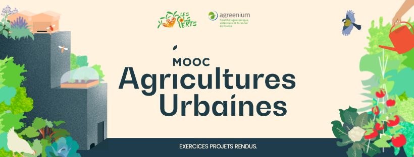 ⏳Exercice projet MOOC⏳

🌿 Nous avons reçu vos exercices projets. 
Ceux sont au total 96 projets déposés qui seront corrigés. 

Nous reviendrons vers vous pour un point concernant ces exercices. 
Retrouver en semaine prochaine le bilan du MOOC
<a href="/FunMooc/">France Université Numérique</a>
