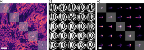 AndreaBassi78's tweet photo. Our new method for phase wavefront aberration measurement and correction with anisoplanatic deconvolution, is available in #OpticsLetters. Thanks to @DanieleAncora1, Tommaso Furieri and Stefano Bonora.
https://t.co/ISzt96FShl https://t.co/20Ycx9Uxu2