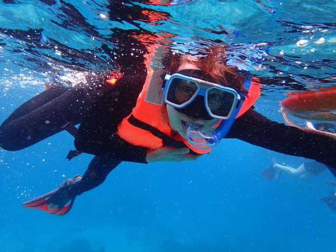 セブ島のtwitterイラスト検索結果