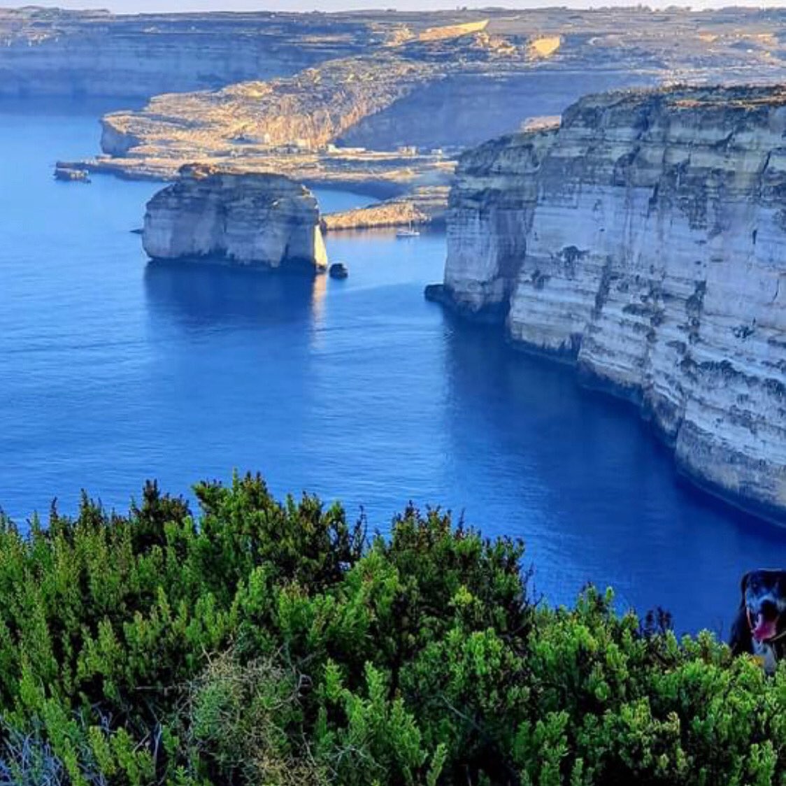 tours_malta's tweet photo. Landscape ! DM me for info about the Maltese Islands! 
#malta #maltatourism #maltaphotography #travelgram #islandlife #holiday #booknow #booknow‼️ #ticket https://t.co/18X02Ypmnc