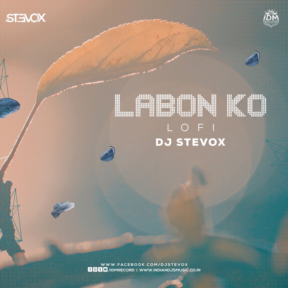 idmrecord's tweet image. Labon Ko (Lofi ) - DJ Stevox
Download - indiandjsmusic.co.in/labonko

#idmrecord #indiandjsmusic #LabonKo #Lofi #DJStevox
#downloadplay #shareanddownload 
Join Facebook Group : - facebook.com/groups/idmreco…
