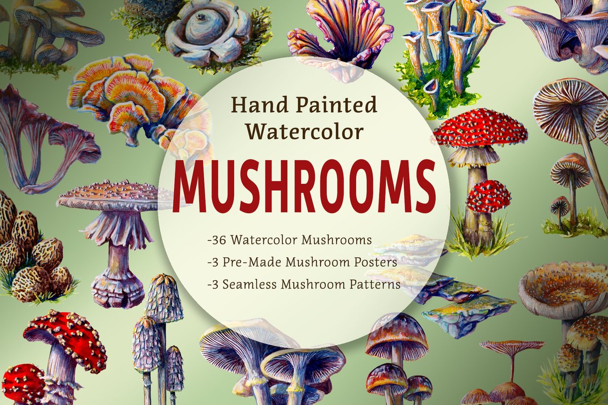 bigredsharks's tweet photo. New graphics set available! Mushrooms and fungi clip art for all of your projects! https://t.co/b7Jn1n8MUF https://t.co/QizWON5nw8
