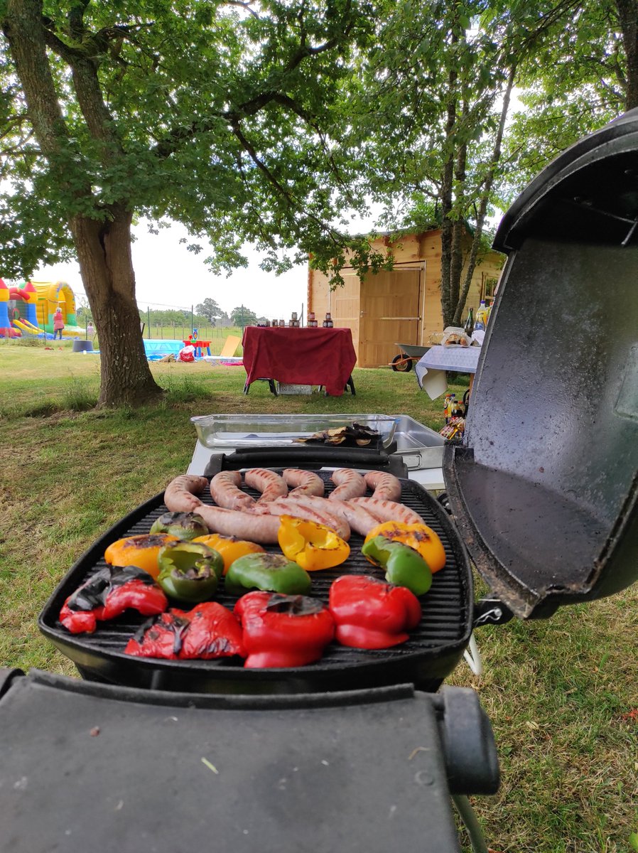Comme chaque année, Wijin a organisé son #backToTheMouts.La chaleur était au rendez-vous, il était temps de rafraichir la coupe de nos🐑.L'occasion également de renouer avec les plaisir de la vie de château 🏰 (même si c'était du "vent"😁): palet, barbecue, piscine… #b2m #wijin