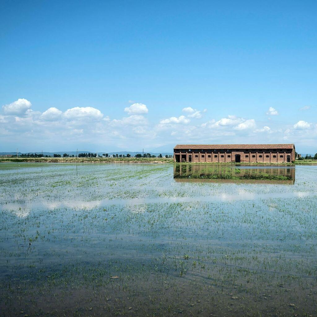 Cartoline dalla #TenutaColombara, casa di #RisoAcquerello

#food #foodie #foodpic #foodphotography #madeinitaly #risotto #riso #carnaroli #rice #cascina #ricefield #agricolture #risaie #igpiemonte #igvercelli #igerspiemonte #igersitalia instagr.am/p/CQGJWP6HXi5/