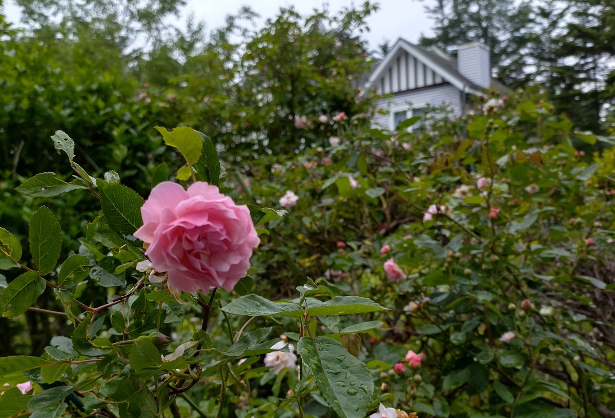 アメリーハウス軽井沢 Amerry House Twitter アメリーハウス軽井沢 Amerry House Twitter