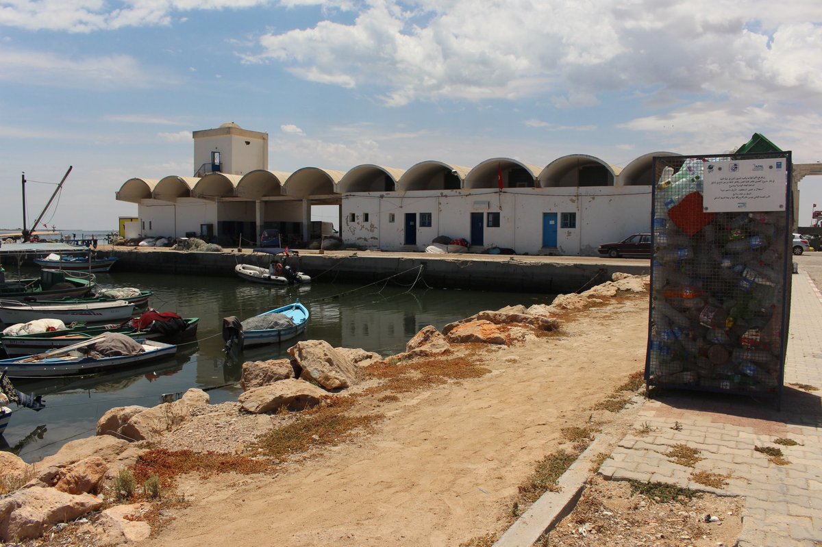 UNDPinTunisia's tweet photo. Le projet «Résilience Côtière» a organisé une visite à #Djerba pour voir les résultats de terrain des #OSCs ayant finalisé la mise en œuvre des projets d’adaptation au changement #climatique en faveur des secteurs et des populations locales.

#ClimateAction #ClimateChange 🌍 https://t.co/iAUaVKfyTv
