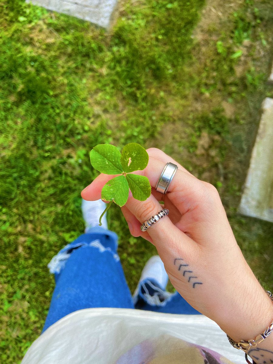 sugknw's tweet image. ho trovato un quadrifoglio.
rt per un po’ di fortuna 🍀