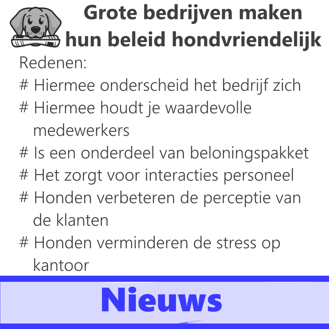 hhcddogs tweet picture
