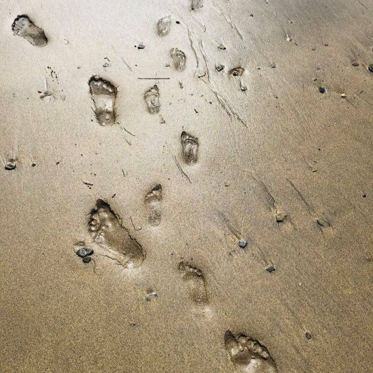 AdventureC's tweet image. Visit Cornwall. Have some of your greatest adventures in Cornwall but leave only your footprints behind. 

#cornwall #adventurecornwall #keepcornwallclean #lookafterourplanet #footprintsinthesand