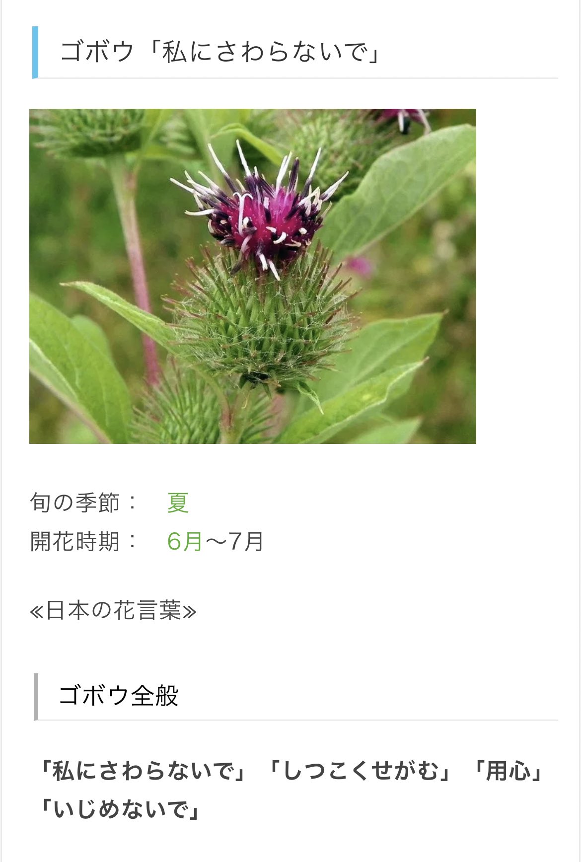 けら草 ごぼうの花言葉に腐女子心が疼くwww T Co L0wdza9hqx Twitter