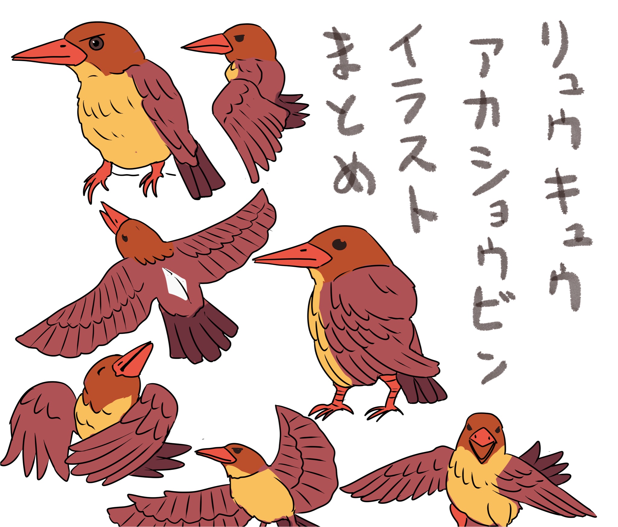 うーる Wolflove リュウキュウアカショウビンです カワセミさんの仲間ですね かわいいです このイラストは 友達にプレゼントしたものですね 鳥さんは好きなので もっと 描いてみたいです T Co Uluhglavjs Twitter