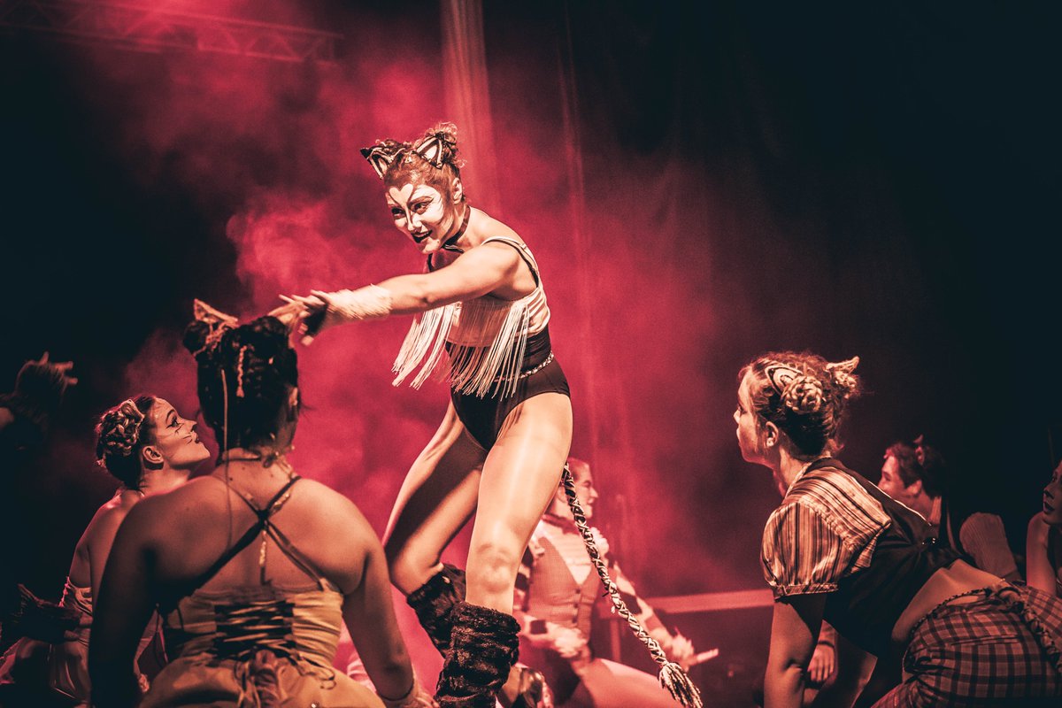 Fes+Chapeau i la Carpa Revolució tweet media