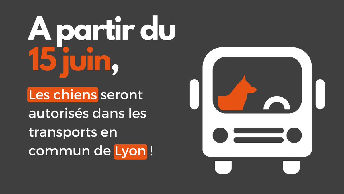 Grande nouvelle ! A partir de demain, nos compagnons à quatre pattes auront accès aux transports en commun de Lyon !
Un soulagement pour les propriétaires d'animaux souvent en difficultés lors de leurs déplacements.

Pour + d'infos : lyoncapitale.fr/actualite/lyon…

#TCL #Lyon