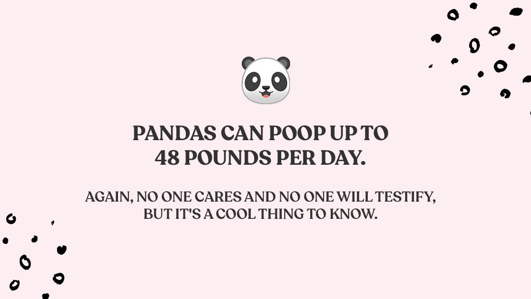 ColonBroom tweet media