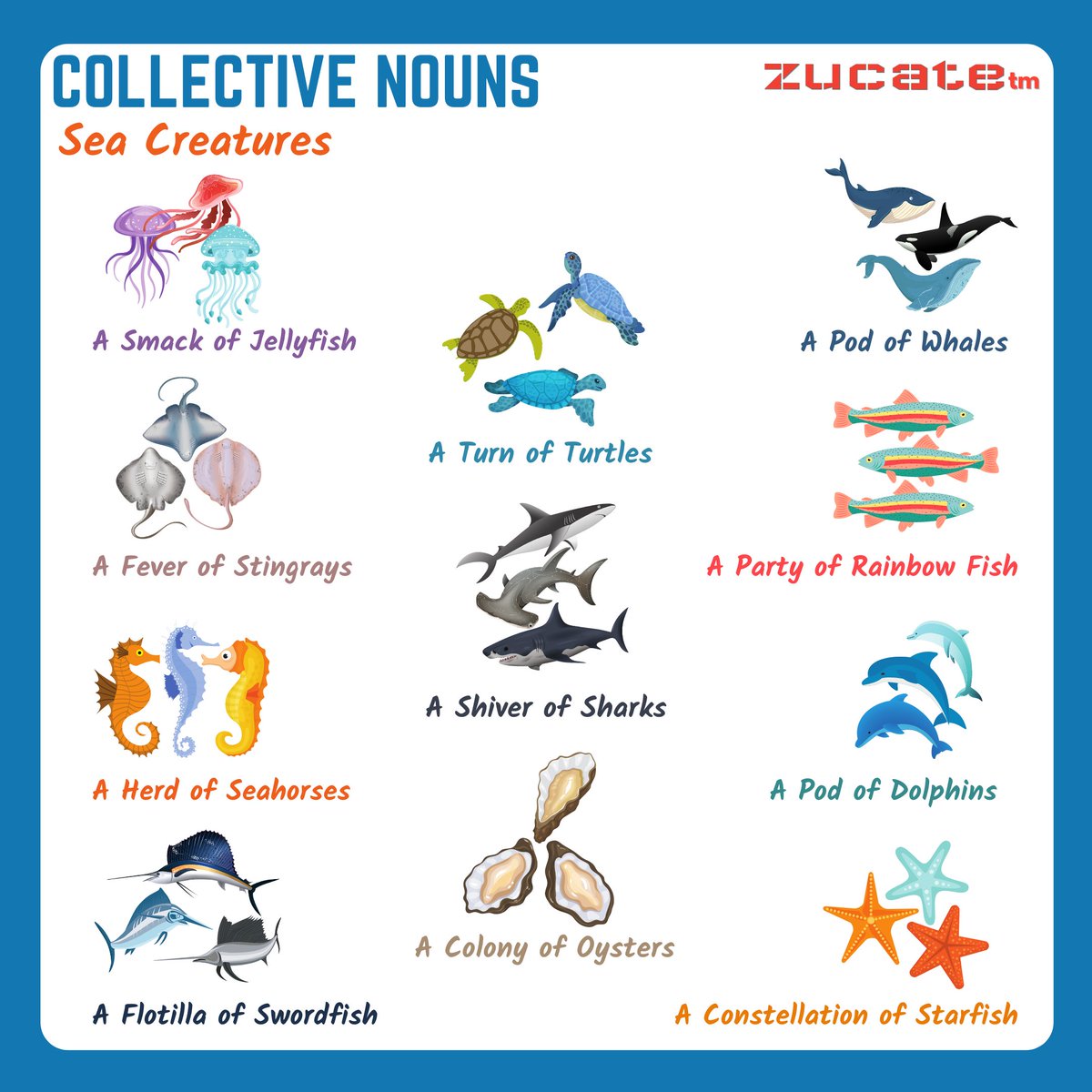 Zucate On Twitter Collective Nouns Sea Creatures English Englishfun Didyouknow Onlineclasses Learningneverstops Students Teacher Zucate Learnenglishwithzucate Elearning Nationaleducationpolicy Covid19 Education Teaching