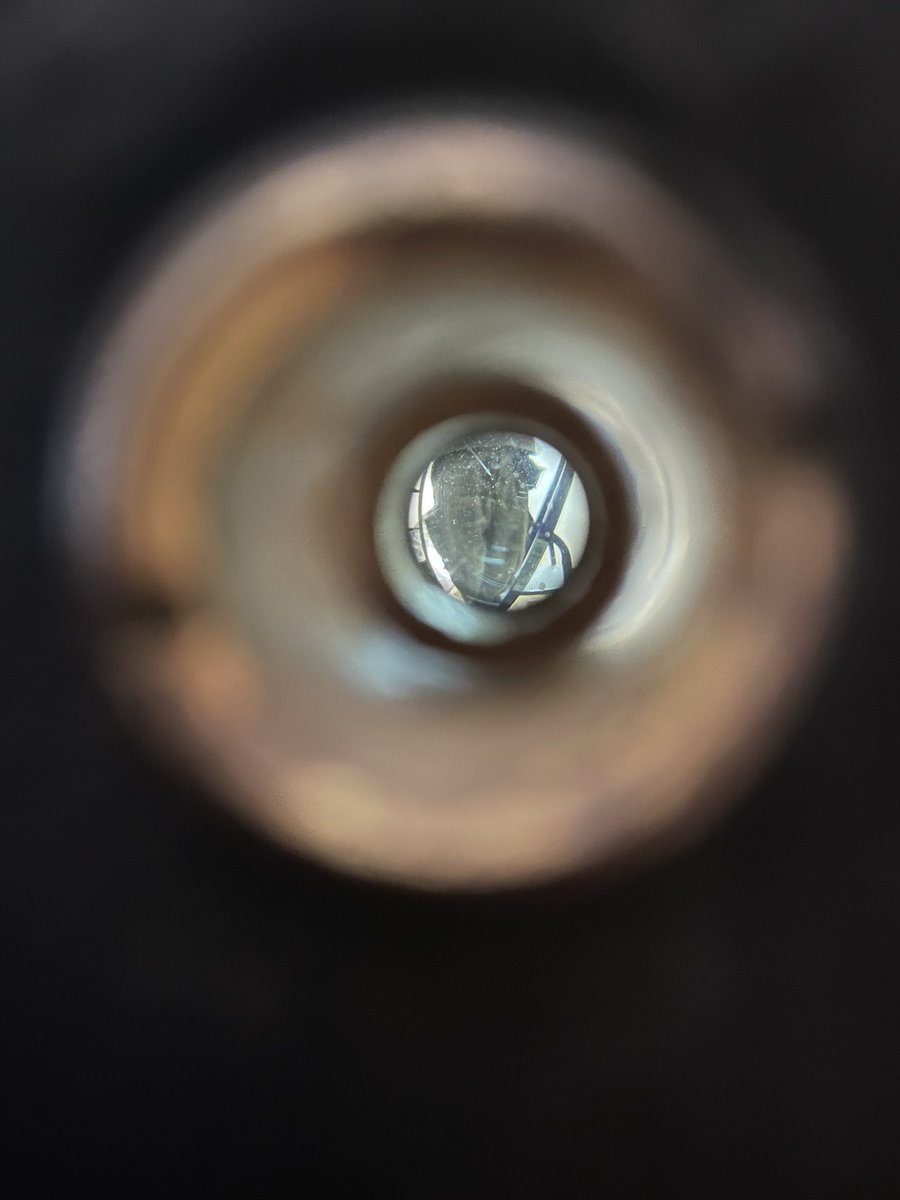 рома д tweet media