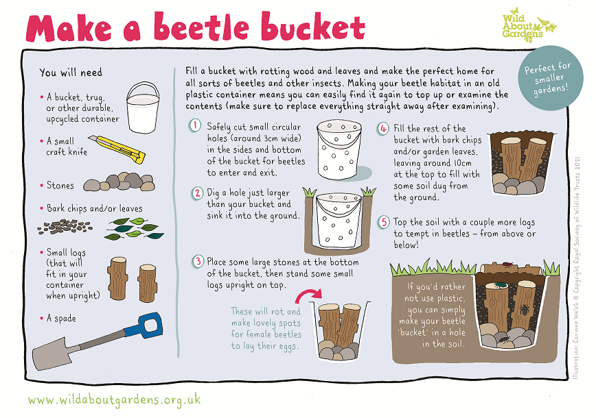 WildlifeTrusts's tweet image. Pledge to build a beetle bucket, beetle bank, or dead hedge in your garden or local green space and help us protect these amazing insects and everything else that depends on them. wildaboutgardens.org.uk