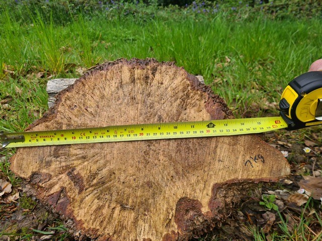 Calling all you talented woodturners…We have a selection of stunning different sized oak burrs for sale.
For more information on sizes, quantity and cost please email sales@shelmoretimber.co.uk or call 01785 284718