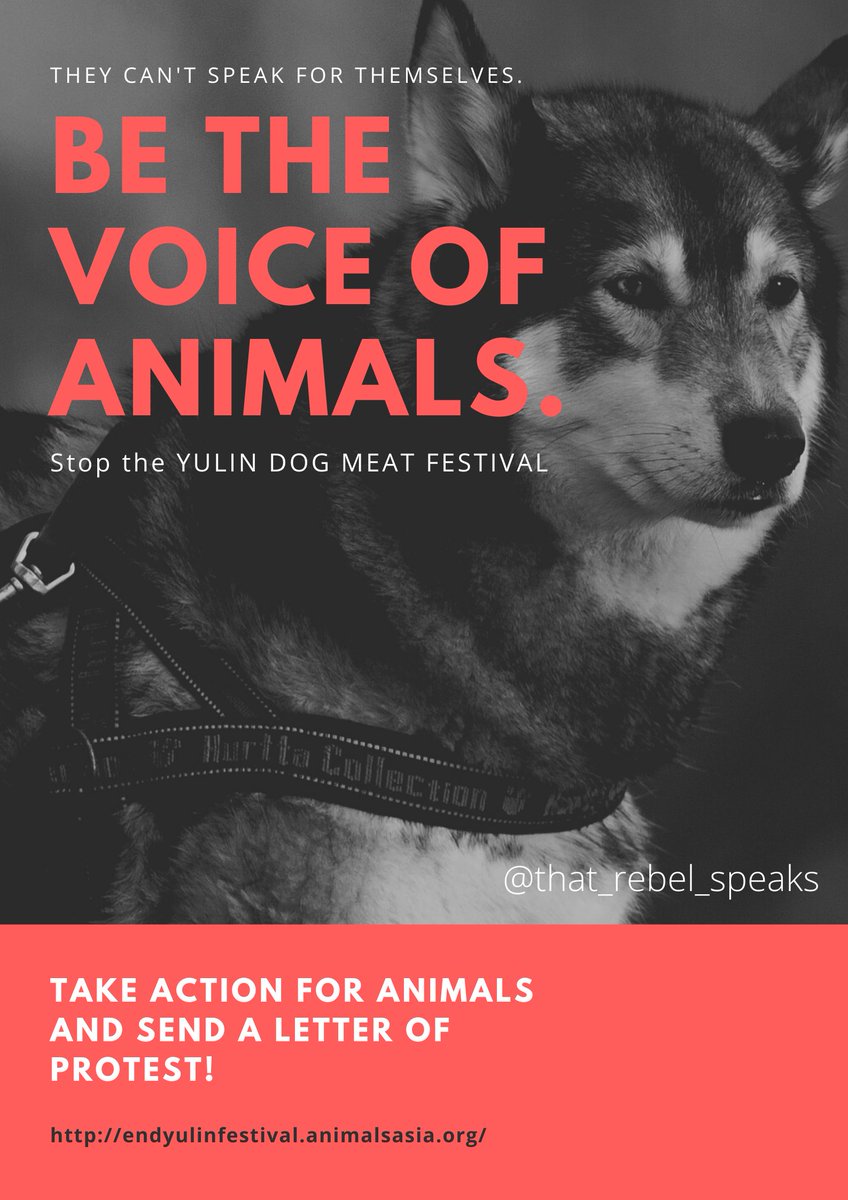 drprincesoni's tweet photo. Yulin festival 1/4:
Some homo sapiens represent entire species as a failure...
https://t.co/lmDits6sNr

#YulinFestival #stopyulindogmeatfestival #StopYulin2021 #AnimalRights #AnimalCruelty https://t.co/Y549pUfEeQ