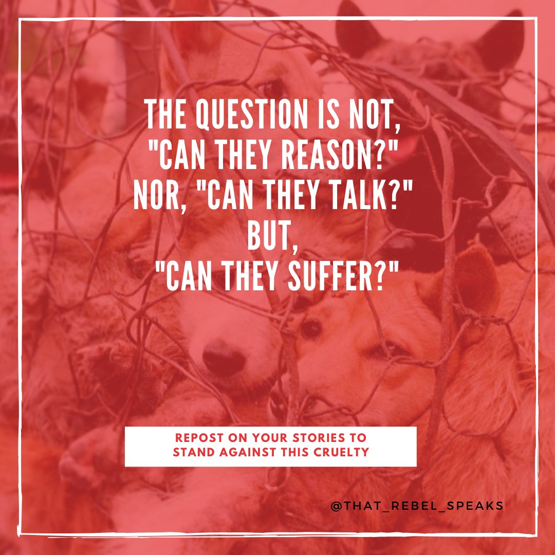 drprincesoni's tweet photo. Yulin festival 4/4:
https://t.co/lmDits6sNr

#YulinFestival #stopyulindogmeatfestival #StopYulin2021 #AnimalRights #AnimalCruelty https://t.co/hfBYfcTIRs
