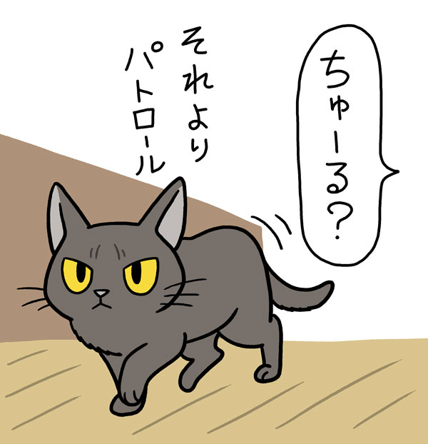 先日、猫様を定期的なアレで動物病院にお連れして帰宅したら、いつもと違い通院後のお約束である「労いちゅーる」も無視して念入りな縄張りチェックに没頭されていた。あのマジックワードが効かないとは。 