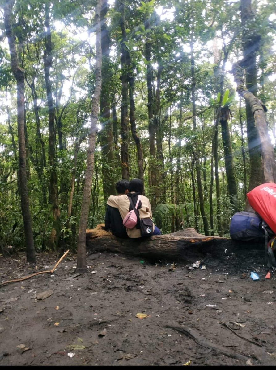 pendakilawas's tweet photo. Senderkan kerilmu di pohon, lalu mari sini senderan dibahuku #polusivisual https://t.co/9oDTap1YYY