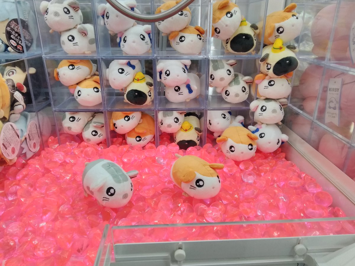 こうしくん Hashtag Posts And Instagram Pictures And Videos Offerdos Com