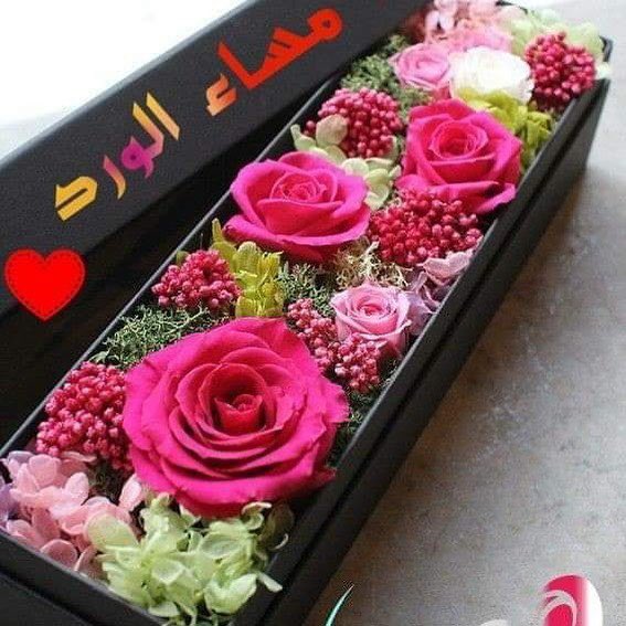 🌹<a href="/asmq57/">أبو أيمن للدعم . 💯 موقف تبادل</a>
<a href="/bodor_501/">♛#بنت_الطائف ♛</a>
<a href="/DbekyAbdo/">Abdo Dbk 1</a>
<a href="/Me4ui/">👋🏼ٵ̍بـوحــڔب🔥🔥🔥3️⃣0️⃣0️⃣</a>
<a href="/jrilll/">༺ ĴỮŘI ༻</a>
@xjiji4
<a href="/misk_eve/">‏‏ ♔مسكـ الرحيل♔✨صلّ عليهِ وتبسّم✨</a>
<a href="/W__d511/">وليد العتيبي 🇸🇦</a>
<a href="/aalyfo/">@alyfouany</a>
<a href="/AS0i_/">ح ♏ 🅰️ Ⓜ️ 🅰️ 🕊️</a>
<a href="/0f_1_/">✈️400✈️</a>
<a href="/AcrmRab/">🖊️الأُستاذ</a>
@fofd15f
<a href="/m_m1if/">محمد البدرى</a>
<a href="/o19ll/">★ッomnia ♡♡ siamッ★</a>
<a href="/1ji_2/">FCB Hkim</a>
<a href="/i_4i__/">ESSAM</a>
<a href="/1fs_2/">فارس بلا جواد 2</a>
<a href="/0Ain_/">𝑨𝒊𝒏𝒂𝒎 𝒗𝒊𝒆𝒘'𝒔</a>
<a href="/bessaoud/">houda</a> 
<a href="/1i1lr/">الــعــســكــري</a>
<a href="/sm0_3/">سما 🌧 sмα</a>
<a href="/lwxws/">سعودية و افتخر</a>
<a href="/1q1r_/">مـــحــمـــد الــعــراقـــي 35k</a>
<a href="/Ana5ir1/">خوي العز</a>
@OPiii_4
@62sr__
<a href="/18oc2/">🇸🇦لا إله إلا الله محمد رسول الله🇸🇦</a>
<a href="/sumuu_1/">سمو /</a>
<a href="/iljts/">ح@bib@</a>
<a href="/h_a__f_a/">حمد بن عبدالعزيز فهد</a>
<a href="/Ali_Ki02/">ـــ -Ali-Al Kindi--🇸🇦أبو تركيـــ</a>
<a href="/1ji_2/">FCB Hkim</a>
@6644ii