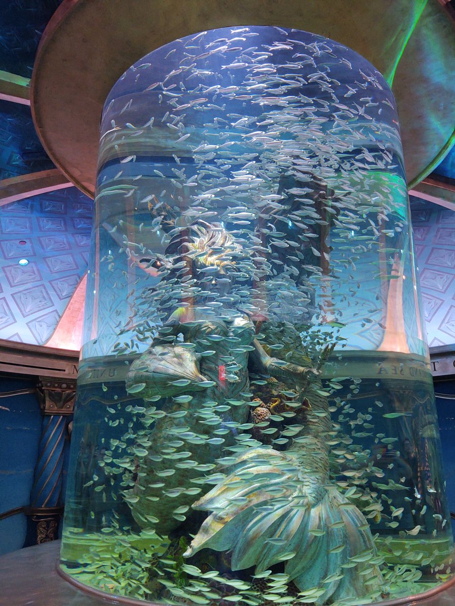 stardust_soul13's tweet photo. Escaped the heat visiting the aquarium. #famtime #hotoutthere @BransonAquarium https://t.co/eq1DhajPTc