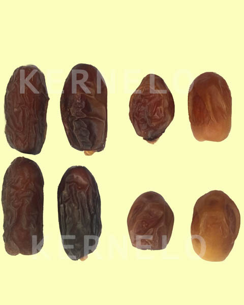 kernelofoods's tweet photo. KERNELO Dates,
Coming Soon!
Our New Products in different packaging (500 Gr to 10 K)
We Accept order, please contact us for more details:
info@nutsbazaar.ca
#kernelodates #kernelo #piarom #dateswholesale https://t.co/EHixbyCLSz