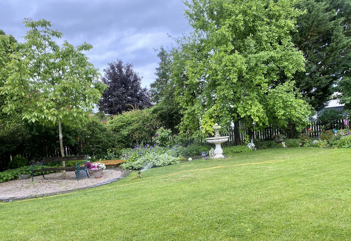 Sitze am Abend bei Sonnenschein und + 23 Grad im Garten bei einem Kaffee und genieße beides #OeNR #OeBH #GEBÖS # einfach herrlich!