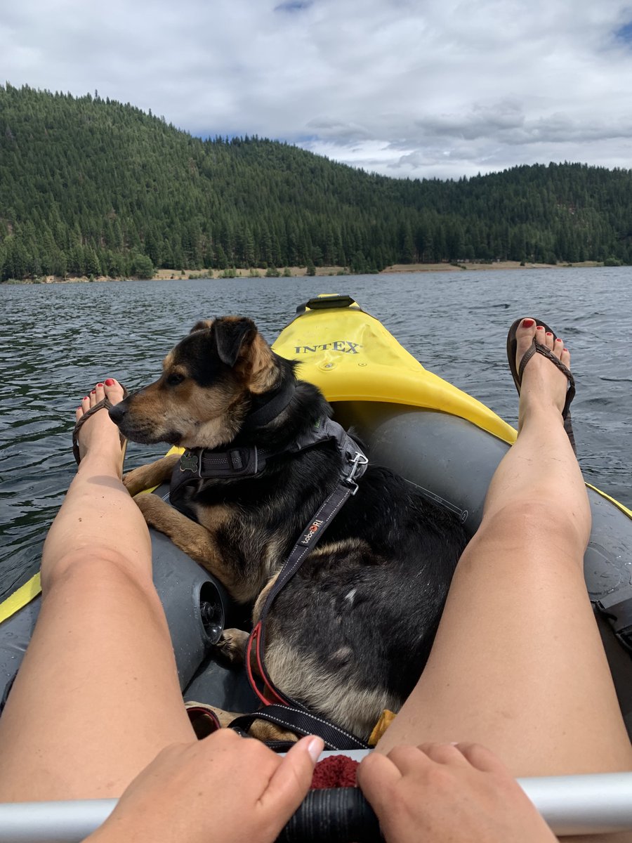 LeahC_F's tweet photo. Spent the weekend exploring Lake Siskiyou by land and kayak. Truly no better feeling than getting outdoors. #MeetYouOutThere @NianticLabs https://t.co/IdsVrbEu48