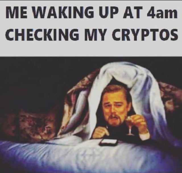 redpillb0t's tweet image. 