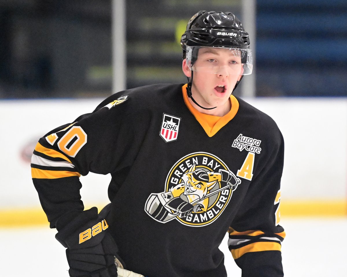 Green Bay Gamblers tweet media