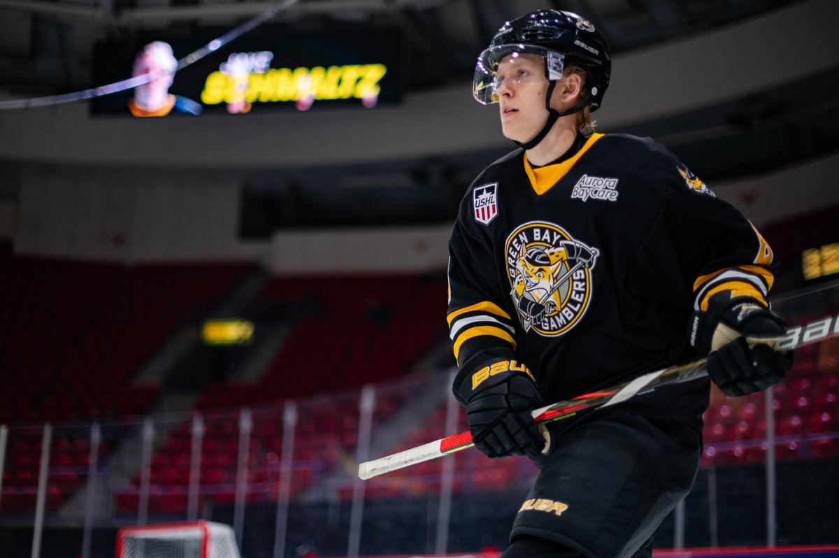 Green Bay Gamblers tweet media